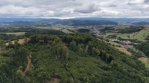 Aerial view of a dense green forest canopy with rural countryside in the backgro Stock Footage 345608987