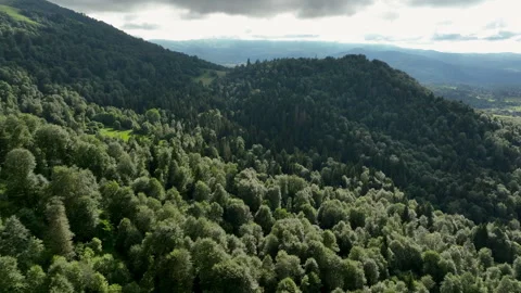 Aerial view of dense green mountain forest under cloudy sky, Georgia 스톡 동영상 341667370