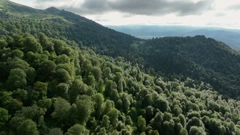 Aerial view of dense green mountain forest under cloudy sky, Georgia 스톡 동영상 341667670