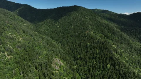 Aerial view of dense green mountain forest under cloudy sky, Georgia 스톡 동영상 341667956