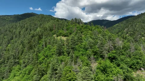 Aerial view of dense green mountain forest under cloudy sky, Georgia 스톡 동영상 341693077