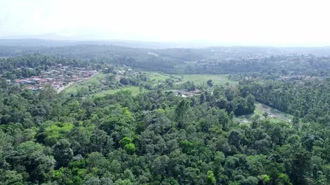 Aerial view of dense madikeri forest and hills showcasing scenic natural la.. Stock-Footage 344411728