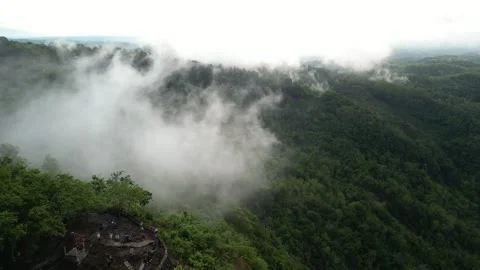 Aerial view of Dense natural forest on mountain hills with morning mist Video stock 290983202