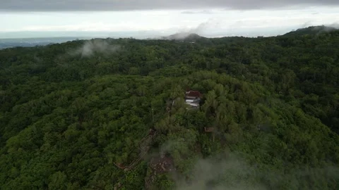 Aerial view of Dense natural forest on mountain hills with morning mist Video stock 290986133