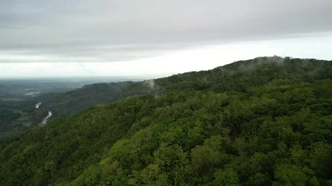 Aerial view of Dense natural forest on mountain hills with morning mist Video stock 290986147