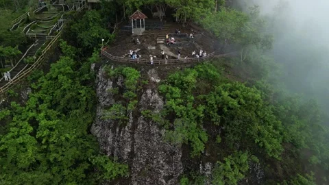 Aerial view of Dense natural forest on mountain hills with morning mist Video stock 290987233
