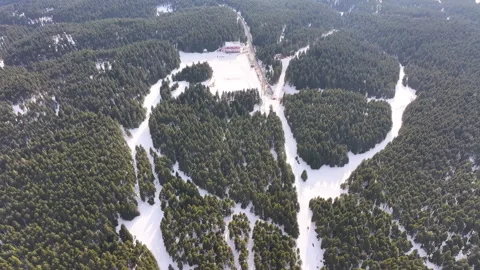Aerial view of a dense pine forest and a building covered in snow during winter 库存影片 332708984