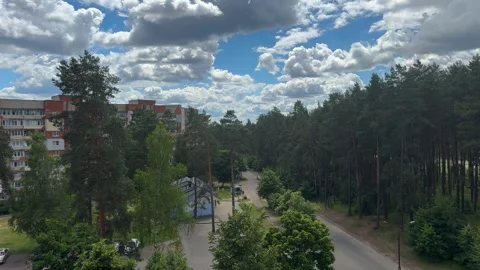 Aerial view of dense pine forest and residential apartment buildings  Видео 338201266