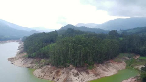 Aerial View of Dense Pine Forest and Lake Shoreline Stock-Footage 346237260