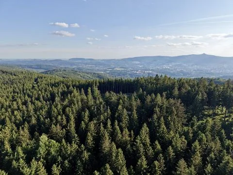 Aerial view of dense pine forest and hills Stock Photos