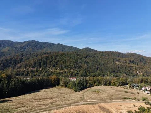 Aerial view of dense pine forest covering mountain ridges Stock Photos