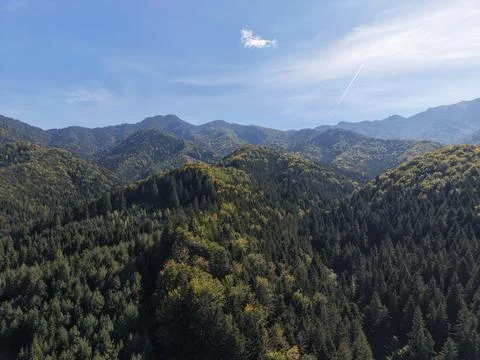 Aerial view of dense pine forest on high mountain ridges Stock Photos