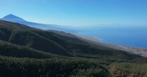 Aerial view. Dense pine tree forest on Tenerife on the background of the volcano Video stock 140972062
