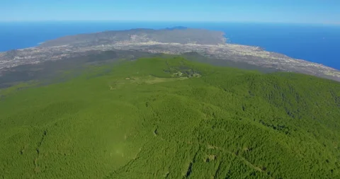 Aerial view dense pine tree forest on Tenerife with a glimpse of distant coastal Stock Footage 140973241