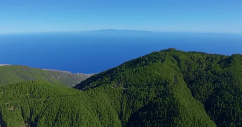 Aerial view dense pine tree forest on Tenerife with a glimpse of distant coastal Vidéo 141178619