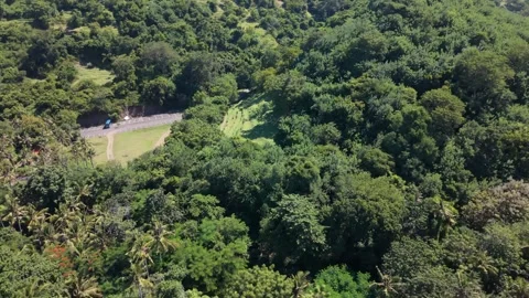 Aerial View of Dense Tropical Forest and Rural Parking Lot on a Green Hillside Stock Footage 338210343