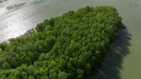 Aerial view of densely forested green island inside the river delta at Anaklia 스톡 동영상 336729419