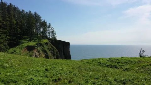 Aerial View of Devils Cauldron Stock Footage 312423312