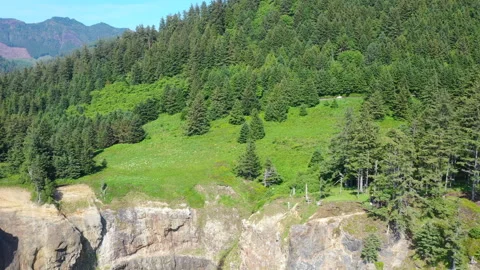 Aerial View of Devils Cauldron Stock Footage 312423435