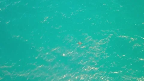Aerial view of Devil's Kitchen cliff, Noosa Heads, Queensland, Australia. Stock-Footage 242313768