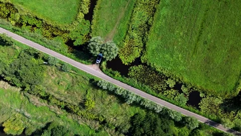 Aerial view of a diagonal road between two water bodiesone with lily pads 스톡 동영상 317442950
