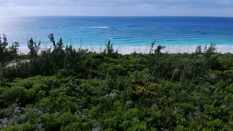 Aerial View of Diamond of Bahama Beach, Freeport, Grand Bahama, Bahamas Stock Footage 104828491