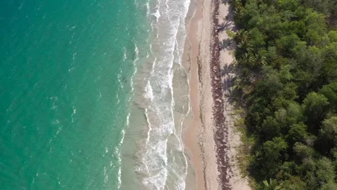 Aerial View of Diamond Beach Waves and Shoreline — Martinique Stock Footage 318011312