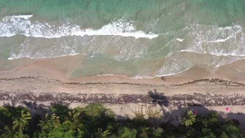 Aerial View of Diamond Beach Waves and Visitors — Martinique Stock Footage 318011861
