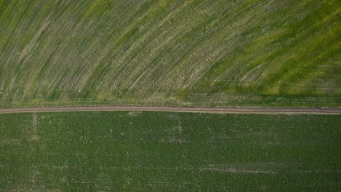 Aerial view of different fields of plantations separated by a dirt road Stock Footage 129769191
