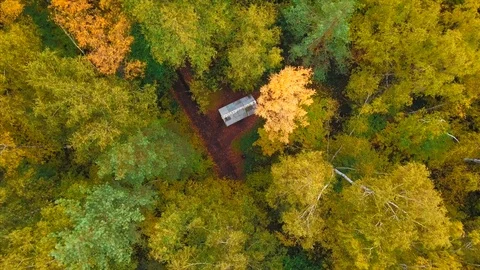 Aerial view. Directly above the deciduous forest in autumn Stock Footage 96212341