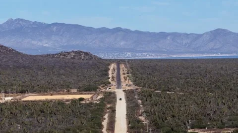 Aerial view of a dirt road through a cactus forest in Ensenada de los Muertos Stock Footage 345373727