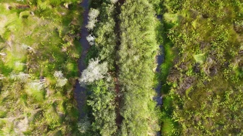 Aerial view of a ditch made to drain water surrounding an area of dry looki.. Stock Footage 248829713