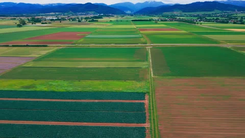 Aerial View of Diverse Agricultural Fields Creating a Geometric Pattern Stockbeeldmateriaal 338350877