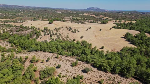 Aerial view of a diverse landscape featuring farmland and pine trees Stock Footage 290090893