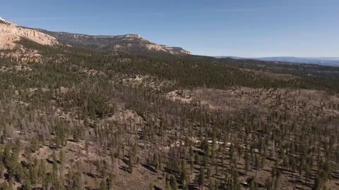 Aerial view of Dixie National Forest in Utah Stock Footage 183257886