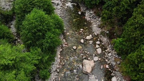 Aerial view from dji drone flyover creek with green trees Stock Footage 134879472