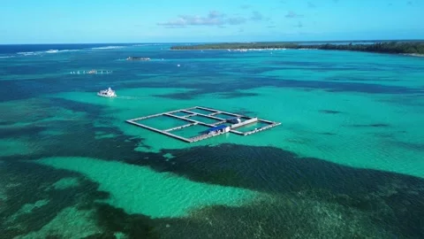Aerial view at dolphin pool structure of ocean Punta Cana in Dominican Republic Video stock 267466174