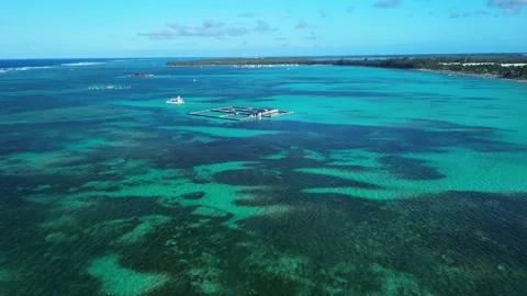 Aerial view at dolphin pool structure of ocean Punta Cana in Dominican Republic Stock Footage 268002515