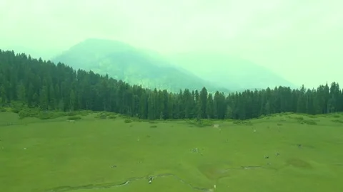 Aerial view of Doodhpathri, Budgam District, Kashmir Valley, Jammu and Kashmir Vidéo 336744923