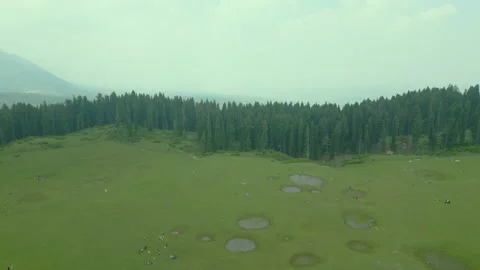 Aerial view of Doodhpathri, Budgam District, Kashmir Valley, Jammu and Kashmir 库存影片 336744942