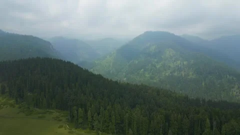 Aerial view of Doodhpathri, Budgam District, Kashmir Valley, Jammu and Kashmir 库存影片 336744984