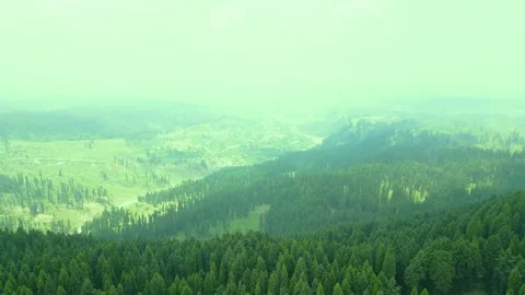 Aerial view of Doodhpathri, Budgam District, Kashmir Valley, Jammu and Kashmir Vidéo 336745165