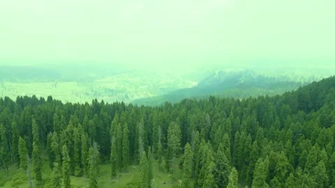 Aerial view of Doodhpathri, Budgam District, Kashmir Valley, Jammu and Kashmir Vidéo 336745270