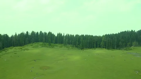 Aerial view of Doodhpathri, Budgam District, Kashmir Valley, Jammu and Kashmir Vidéo 336745407