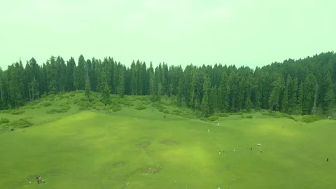 Aerial view of Doodhpathri, Budgam District, Kashmir Valley, Jammu and Kashmir Video stock 336745488