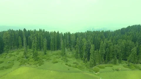 Aerial view of Doodhpathri, Budgam District, Kashmir Valley Stock Footage 340131442