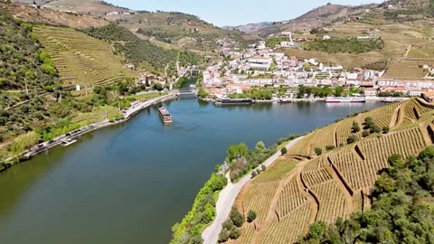Aerial view of the Douro River and terraced vineyards in Portugal. Stock Footage 334180320