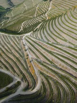 Aerial view of Douro river pattern vinyards near Pinhão Stock Photos