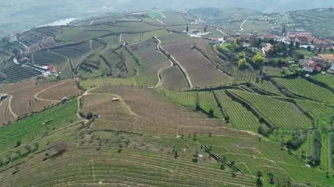 Aerial view of Douro River valley in Portugal. Stock Footage 345053659
