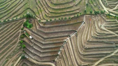 Aerial view of Douro River valley vineyards, Portugal. Stock Footage 345053843